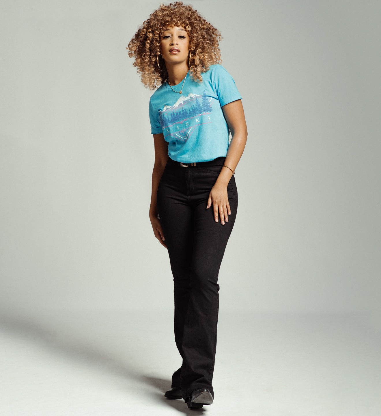 Alaska - American Highway