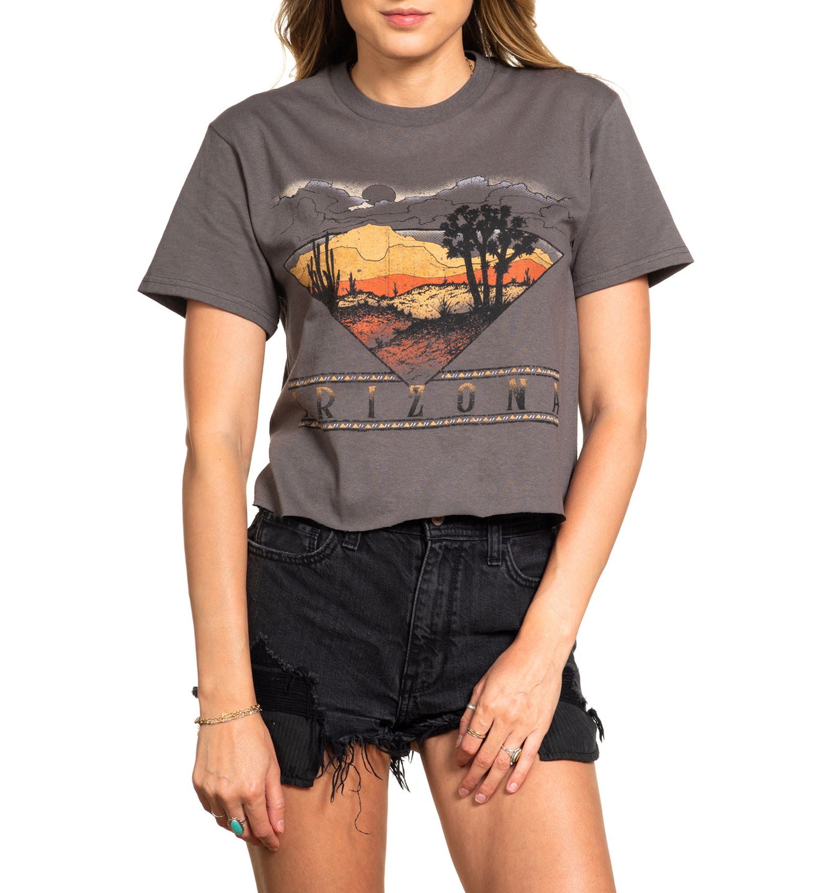 Arizona Wild - American Highway