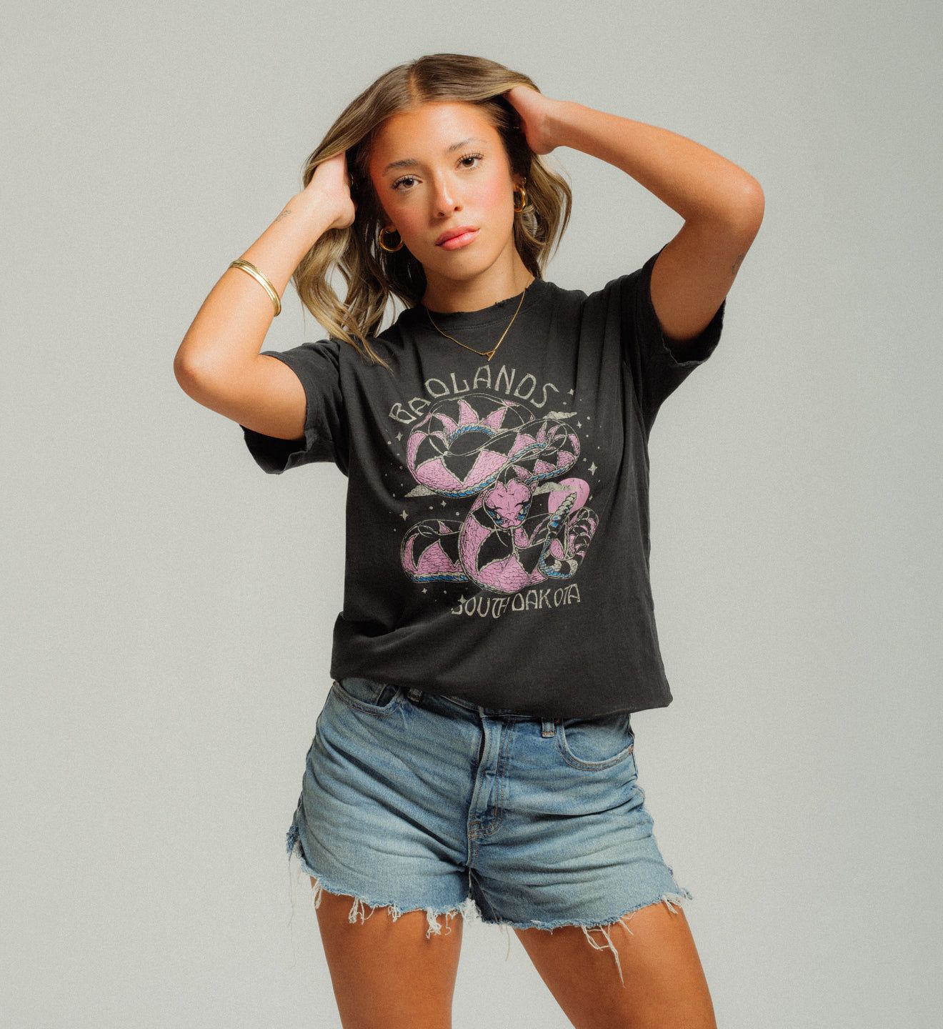 Badlands - American Highway