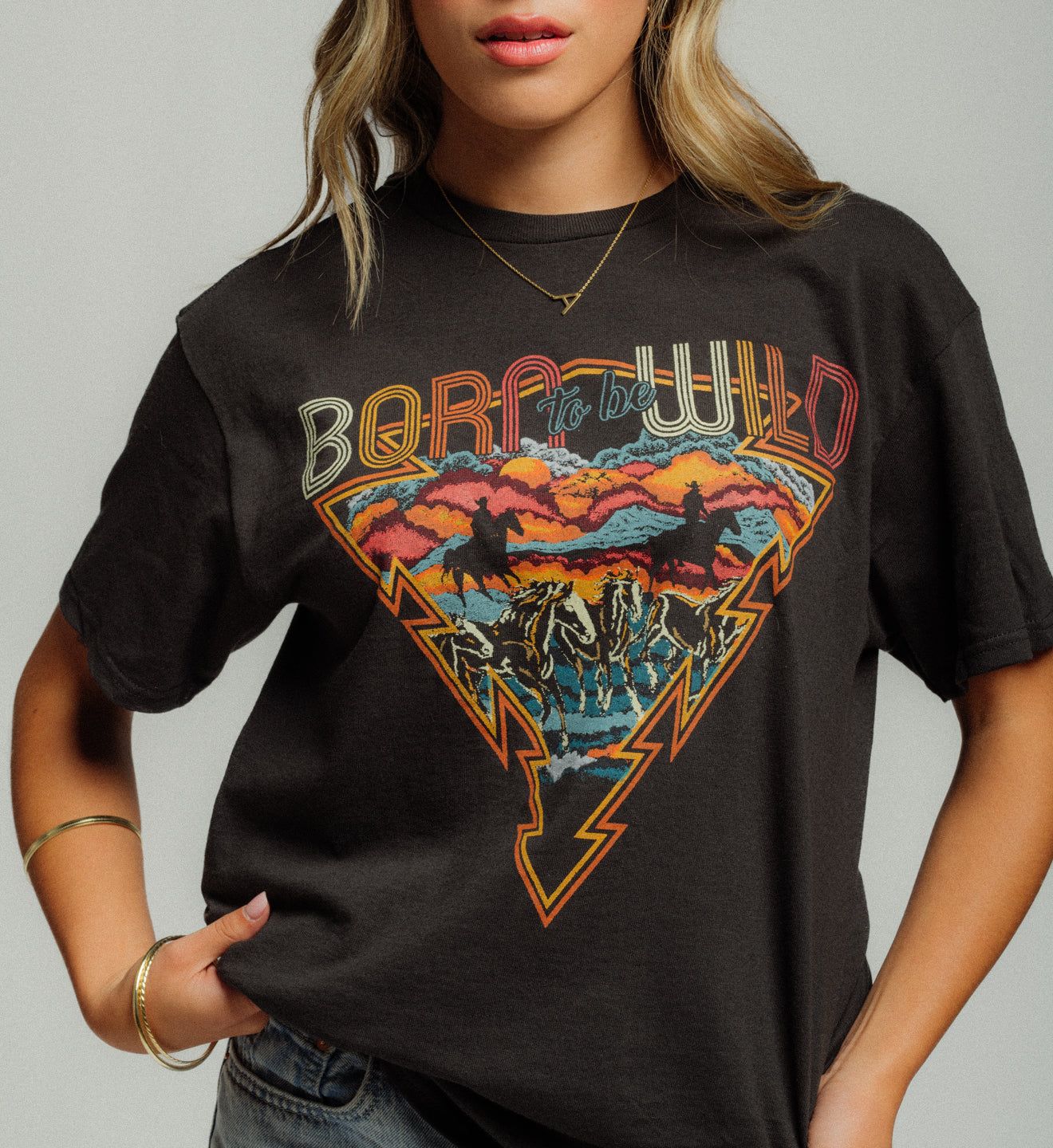 Born To Be Wild - American Highway